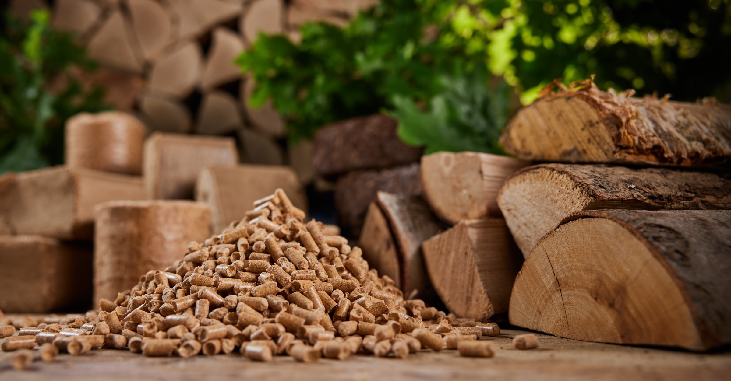 Granulés et bûches pour une chaudière biomasse
